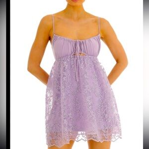 Brand New Never Worn Purple Dress Lucy in the Sky